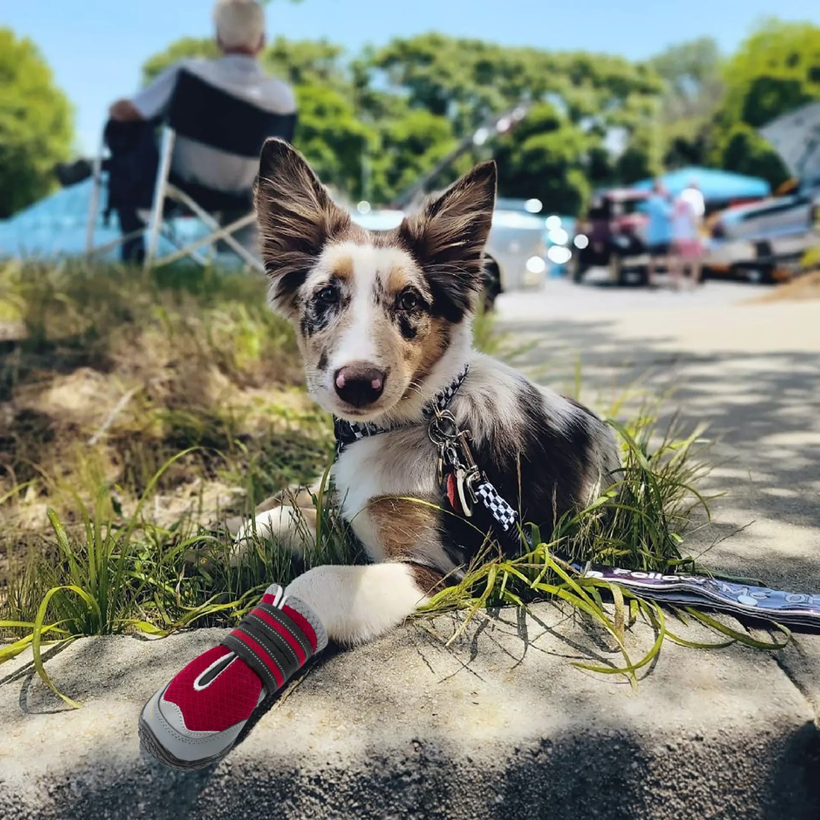 QUMY Dog Shoes for Hot Pavement 4PCS