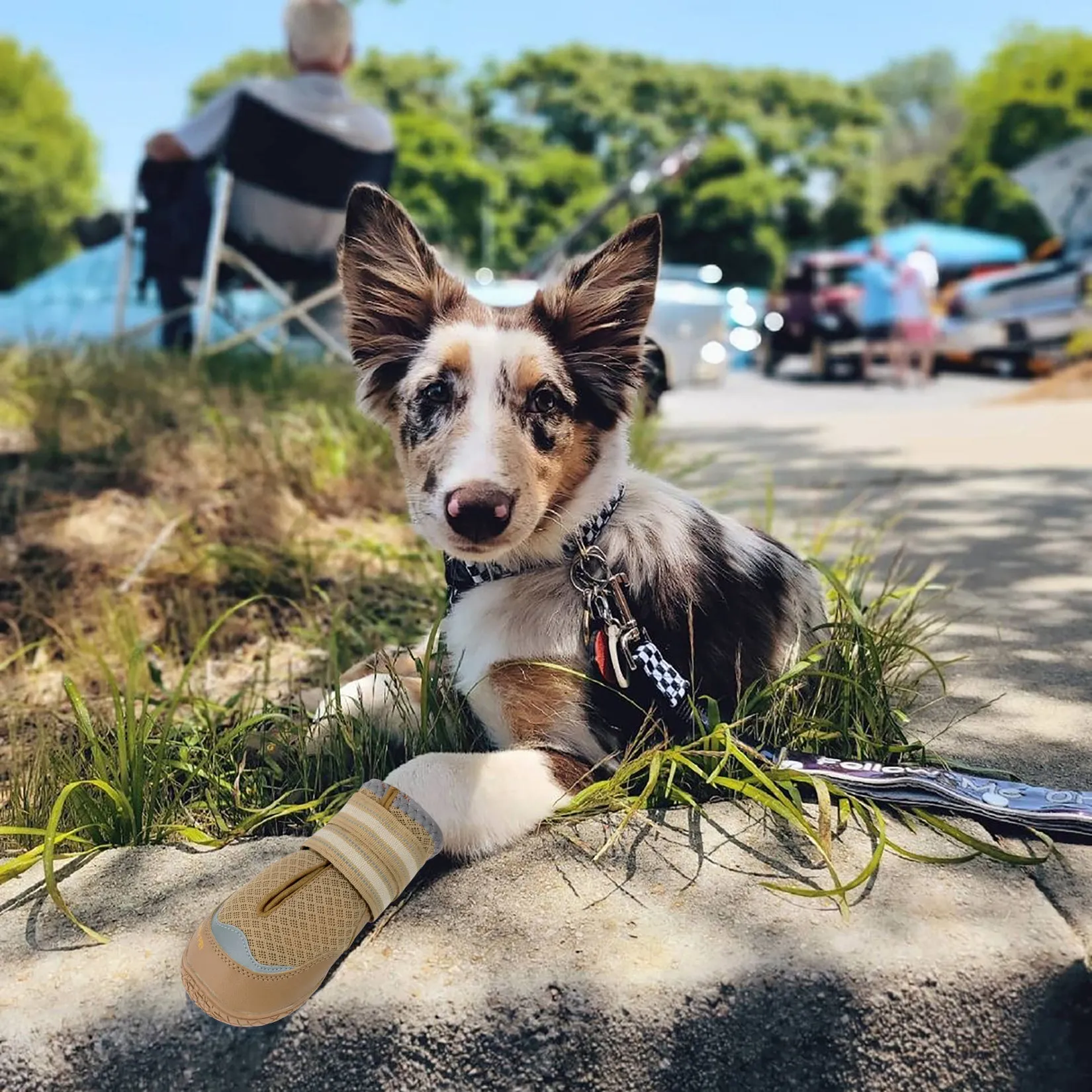 QUMY Dog Shoes for Hot Pavement 4PCS