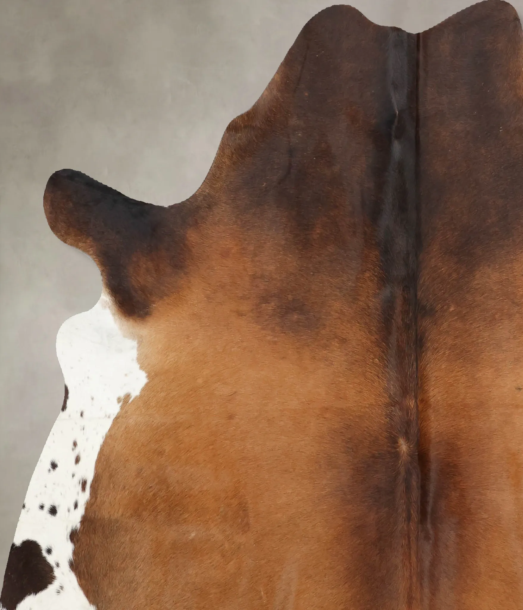 Warm Caramel Large Brazilian Cowhide Rug 6'2"H x 5'9"W #B7911 by Hudson Hides